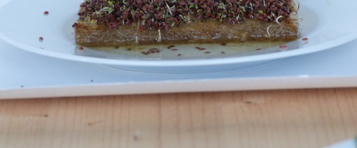 Microgreens ohne Erde