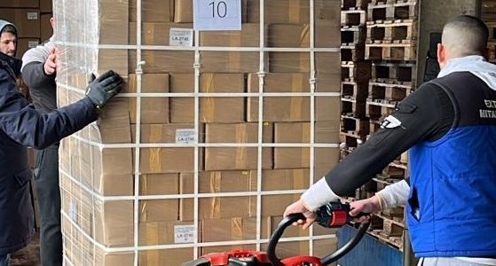 Vom Werk bis zur Farm: Zuverlässige Logistik für Hanf-Microgreen-Matten