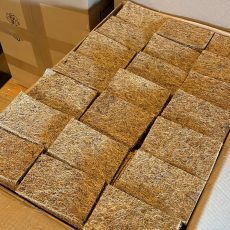 🌱 Kokosfaser-Zuschnitte für Microgreens Microgreen Matten